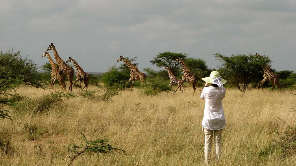Maasai Simba Camp Hotel Amboseli Exterior photo